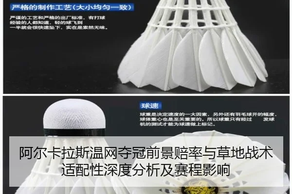 a-er-ka-la-si-wen-wang-duo-guan-qian-jing-pei-lv-yu-cao-di-zhan-shu-shi-pei-xing-shen-du-fen-xi-ji-sai-cheng-ying-xiang-3-358.jpg