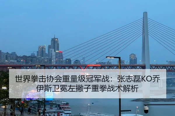 世界拳击协会重量级冠军战：张志磊KO乔伊斯卫冕左撇子重拳战术解析