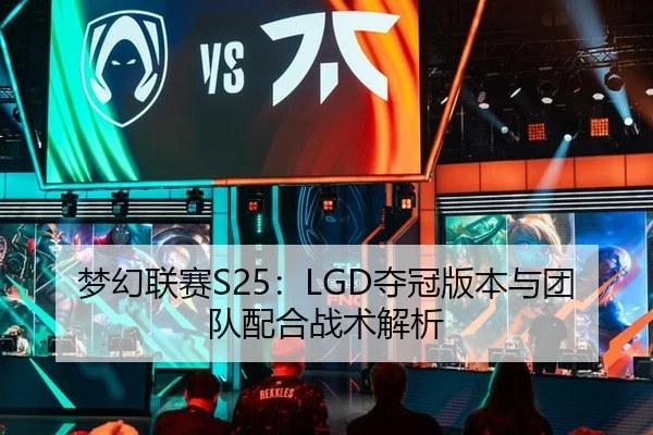梦幻联赛S25：LGD夺冠版本与团队配合战术解析