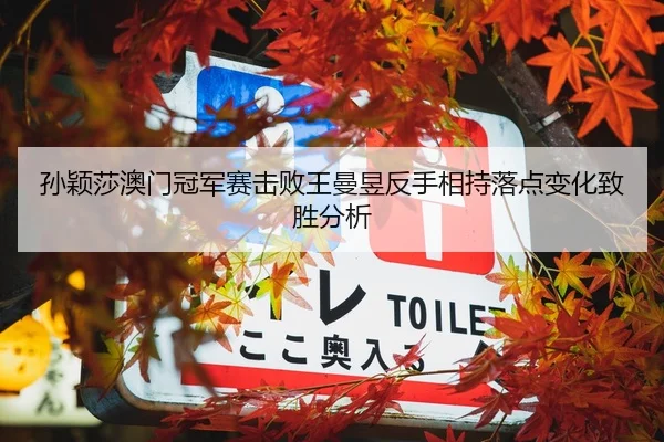 孙颖莎澳门冠军赛击败王曼昱反手相持落点变化致胜分析
